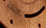 Стартовали продажи встраиваемых аудиосистем Architectural Line от компании Unique Acoustics